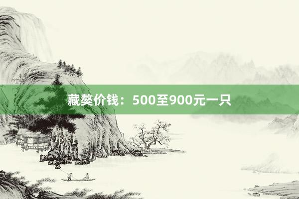 藏獒价钱：500至900元一只