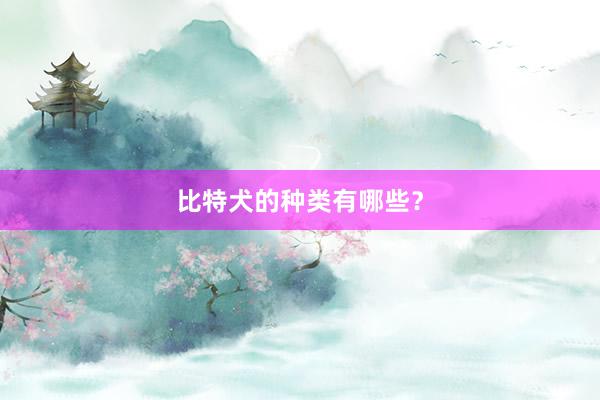 比特犬的种类有哪些?