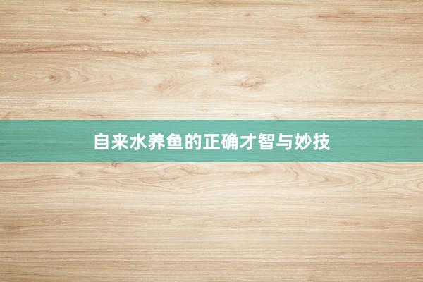 自来水养鱼的正确才智与妙技